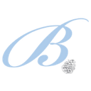 MARY E BIVINS FOUNDATION logo