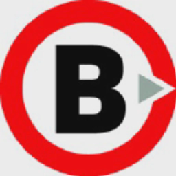 BIZ Engineering Limited logo