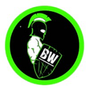 BIZNEZ WARRIOR logo
