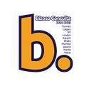Bizoso Consulta logo