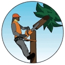 Bjertnes Trefelling