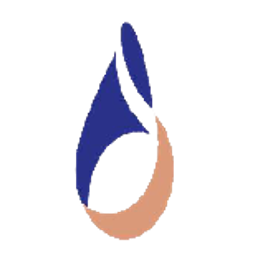 Bahrain Kuwait Insurance Company logo
