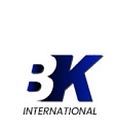 BK SQUARE INTERNATIONAL CONSULTANT logo
