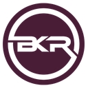 BKR Consultants Limited logo