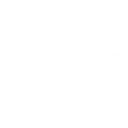 Breakwater International logo