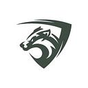 Favicon of Black Badger Software Solutions