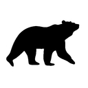 Black Bear Coatings & Concrete logo