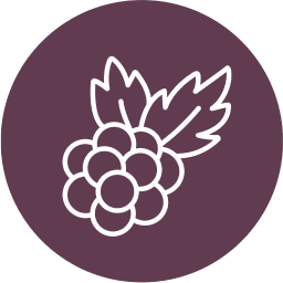 Blackberry Market logo