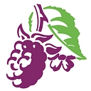 Blackberry Orthopaedic Clinic logo
