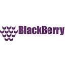 Blackberry Systems. logo