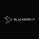 Favicon of Blackbird IT