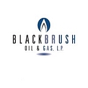 Blackbrush Oil & Gas, Lp logo