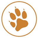 Black Cat Civil Pty logo