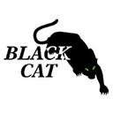 Black Cat Erectors logo