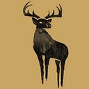Black Deer Festival   22nd 24th June 2018 logo