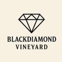 blackdiamondvineyard.com icon