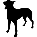 Black Dog Group / The Liars Group logo