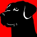 Blackdog Design/Build/Remodel logo