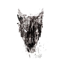 Black Dog Films logo