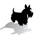 Black Dog Music Supplies logo