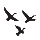 Black Duck Partners logo