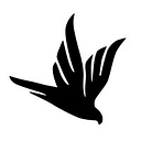 Black Falcon logo