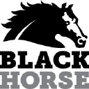 Black Horse Llc logo