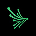 Black Kite logo