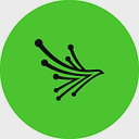 Black Kite logo