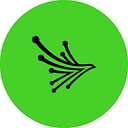 Favicon of Black Kite