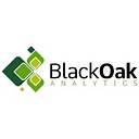 Black Oak Analytics logo