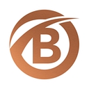 Black Opal Travel Group logo