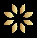 Black Opal Carbons logo