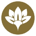 Black Orchid logo