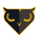 Black Owl Systems Lease Accounting Software logo