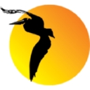 Black Pelican Seafood Co logo