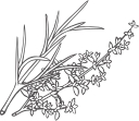 Black River Produce logo