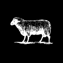 Black Sheep Skate Shop