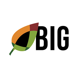 BIG, NFP logo