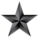 Black Star Asset Conversion & Appraisals logo