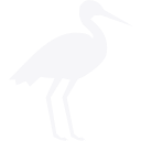 Fabric Platform