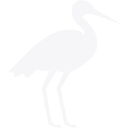 Fabric Platform by BlackStork Logo