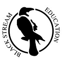 Black Stream Education logo