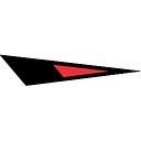 Black Swan Data logo