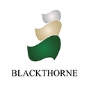Blackthorne Capital Management Llc logo