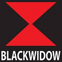 Black Widow Exhausts Limited logo