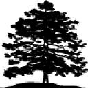 Black Woods Grill & Bar logo