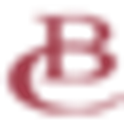 avatar logo