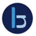 Blake Newport Associates logo