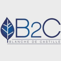 Logo Blanche de Castille - Etablissement scolaire